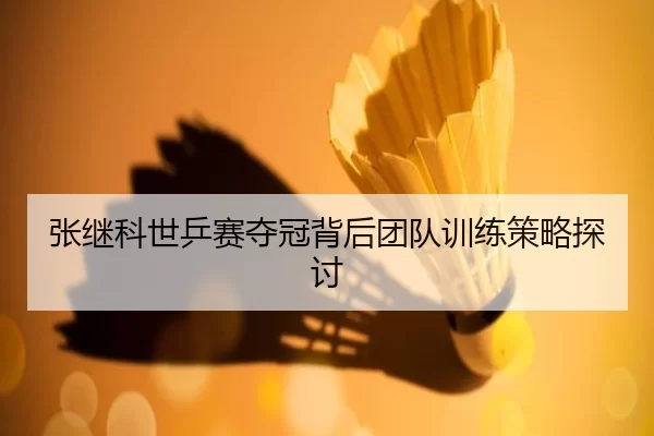 张继科世乒赛夺冠背后团队训练策略探讨